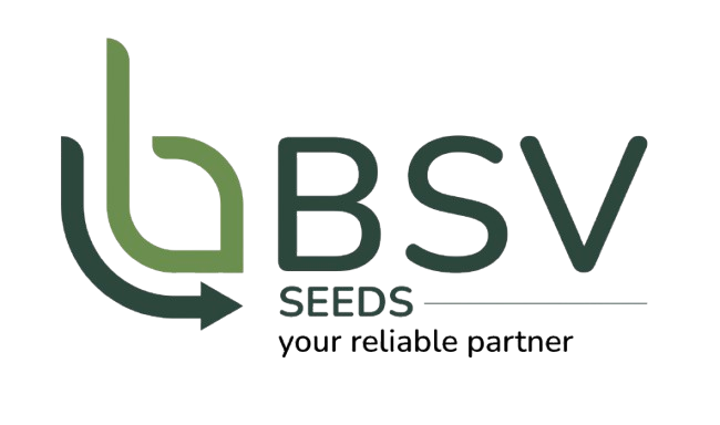 BSV Seeds Logo