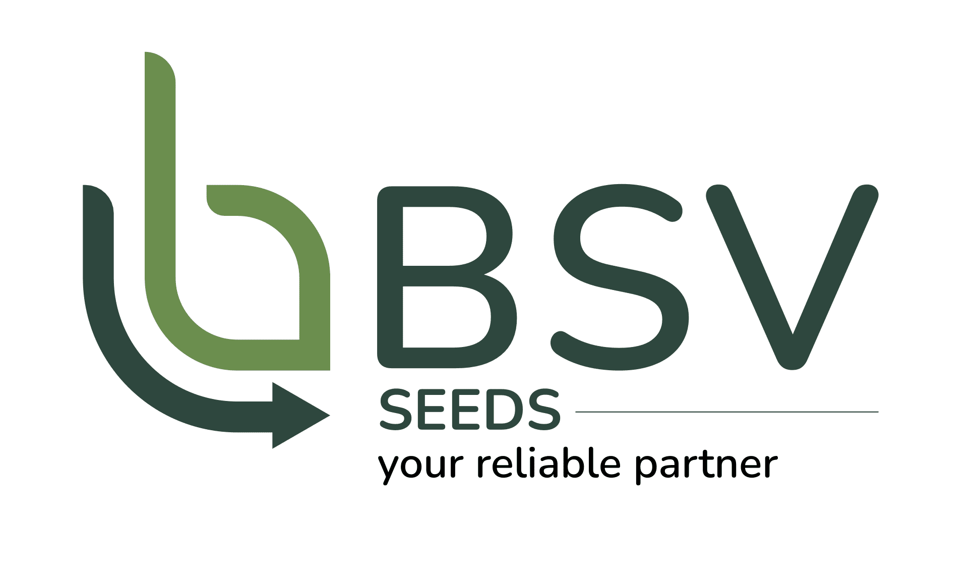 BSV Seeds Logo